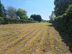 Bouwgrond, Immo, Laakdal, 1500 m² of meer