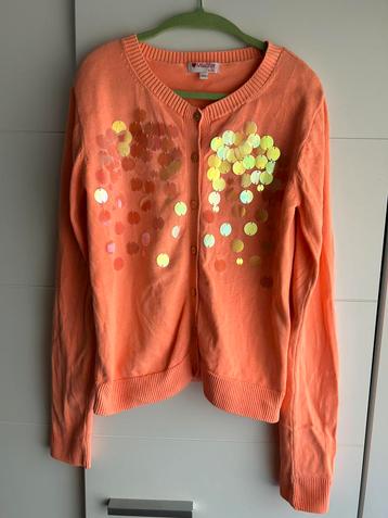 Leuke oranje gilet maat 164 beschikbaar voor biedingen
