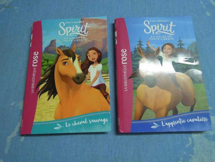 Lot de 2 livres - histoires de chevaux "Spirit", Boeken, Kinderboeken | Jeugd | onder 10 jaar, Zo goed als nieuw, Fictie algemeen
