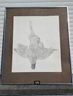 Lithographie oiseaux mort signe paul georges klein, Antiek en Kunst, Ophalen of Verzenden