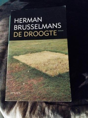 Herman Brusselmans - De Droogte
