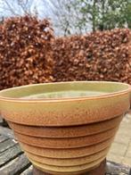 Bacs à plantes différents modèles - Pâques, Enlèvement ou Envoi