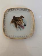 Vintage porselein bordje met hond, Antiek en Kunst, Ophalen