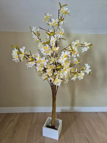 boom met bloesems en verlichting beschikbaar voor biedingen