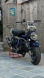 Dax honda 50cc, Enlèvement ou Envoi, Neuf, Classe B (45 km/h)