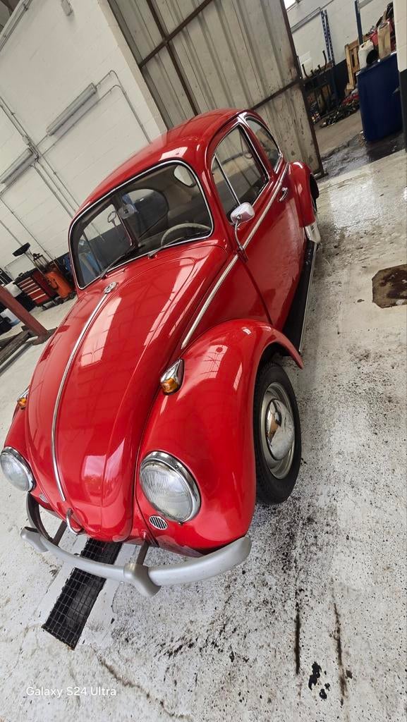 Volkswagen cox 1200 1965, Rouge, Achat, Beige, Particulier