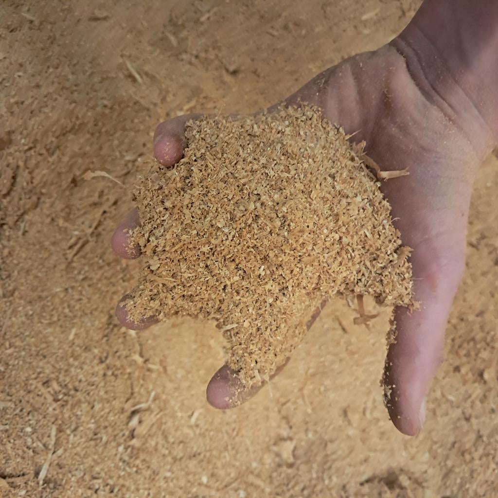 Sciure de hêtre pure, Enlèvement, Hêtre, Autres types