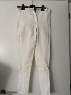 Paarden broek wit, Kleding | Dames, Ophalen of Verzenden, Zo goed als nieuw, Maat 38/40 (M), Wit