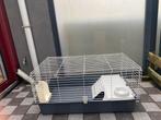 Cavia / konijnen kooi hok, Enlèvement, Comme neuf, Niche, Cobaye