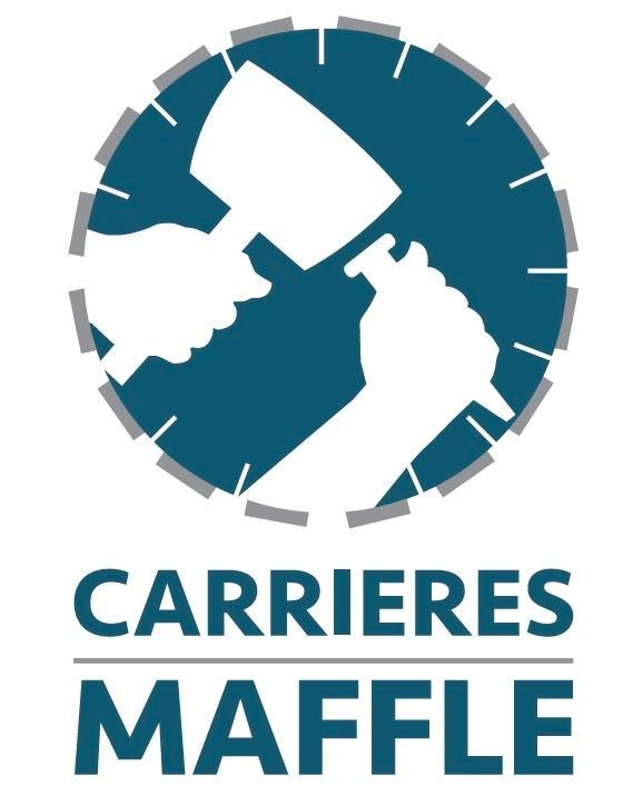 29,16m² de Pierre bleue du Hainaut  30x5x10cm format brique, Jardin & Terrasse, Pavé & Dalles, Utilisé, Autres types, Pierre naturelle