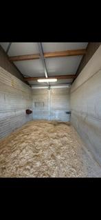 Box avec paddock a louer, Élevage