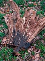 boomstronk, Tuin en Terras, Brandhout, Minder dan 3 m³, Ophalen, Eikenhout, Stammen
