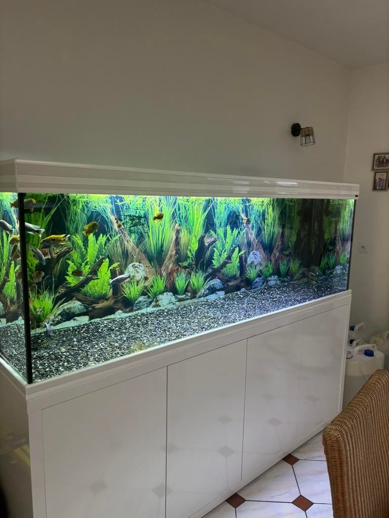 Aquarium équipe 800L Aquatlantis, Animaux & Accessoires, Aquatlantis, Enlèvement, Accessoires inclus, Meuble d'aquarium