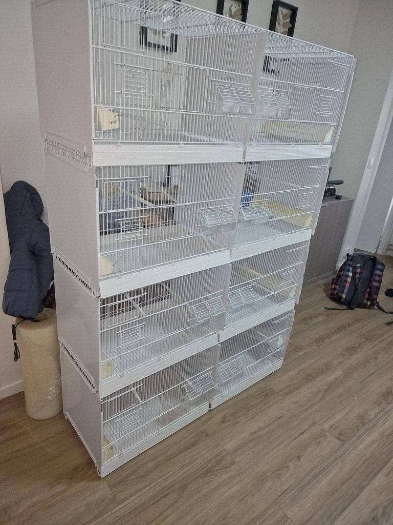 Cage dommus moliner 1m20, Enlèvement ou Envoi