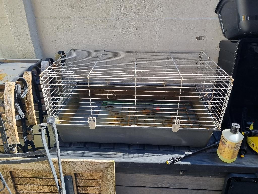 Kooi cavia/hamster, Dieren en Toebehoren, Ophalen, Kooi, Konijn, 60 tot 90 cm