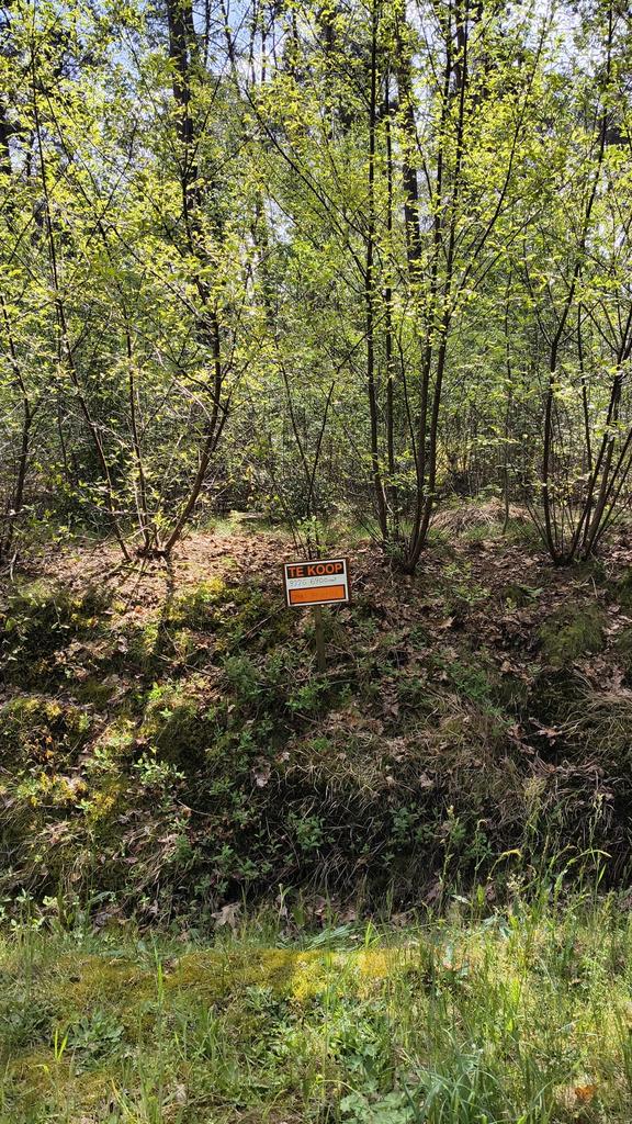 Bosgrond: 6900m2: te Retie, Verkoop zonder makelaar, 1500 m² of meer