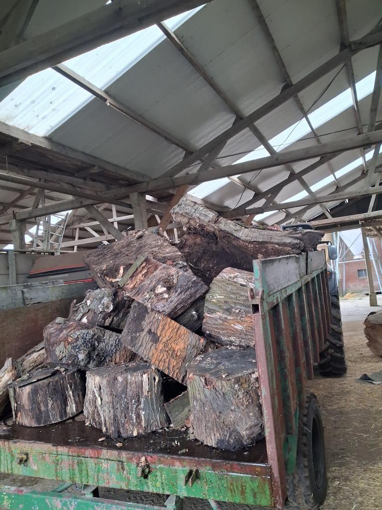 Brandhout eik, Ophalen