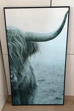 Wanddecoratie Schotse Hooglander, Ophalen, Zo goed als nieuw, Print