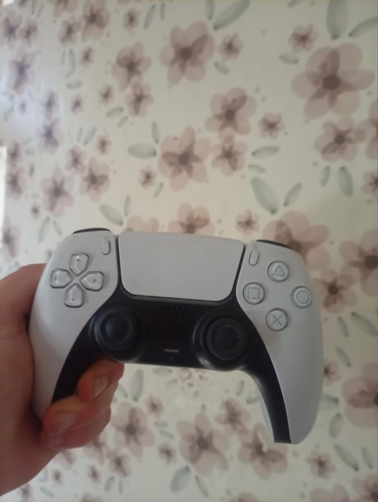 Ps5 controller (gebruikt) werkt perfect, Ophalen of Verzenden