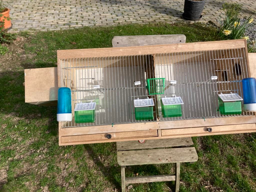 Dubbele kweek kooi, Dieren en Toebehoren, Vogels | Hokken en Kooien, Ophalen, Gebruikt