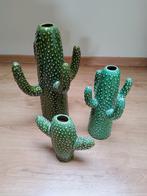 cactus serax, Maison & Meubles, Enlèvement