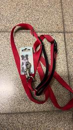 Hondenriem rood, Enlèvement ou Envoi, Neuf, Laisse pour chien