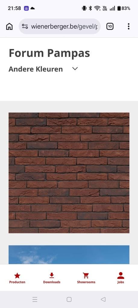 Gevelsteen Forum Pampas (volledig pallet), Bricolage & Construction, Briques, Enlèvement, Neuf, Briques