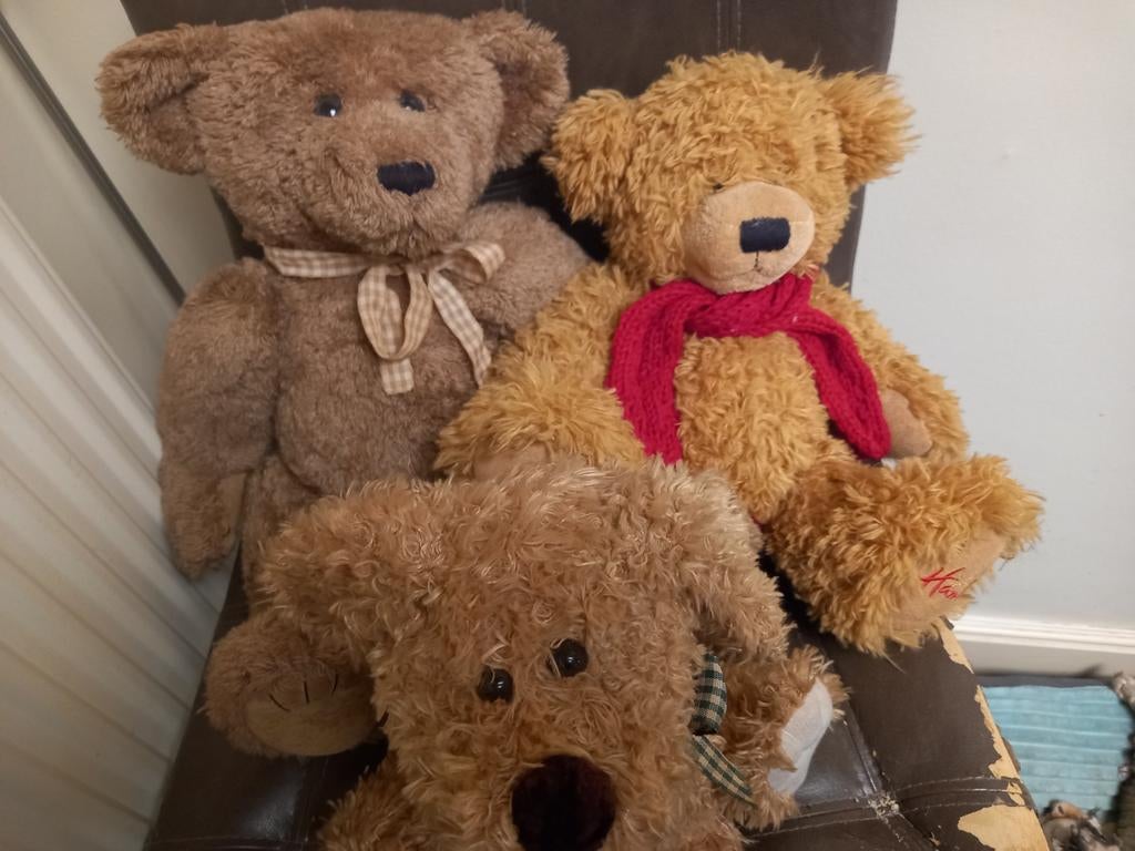 set vintage beren, Ophalen