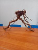 Kienhout, Dieren en Toebehoren, Ophalen