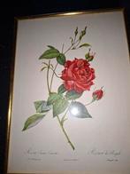 redoute rozen kaders, Antiek en Kunst, Ophalen