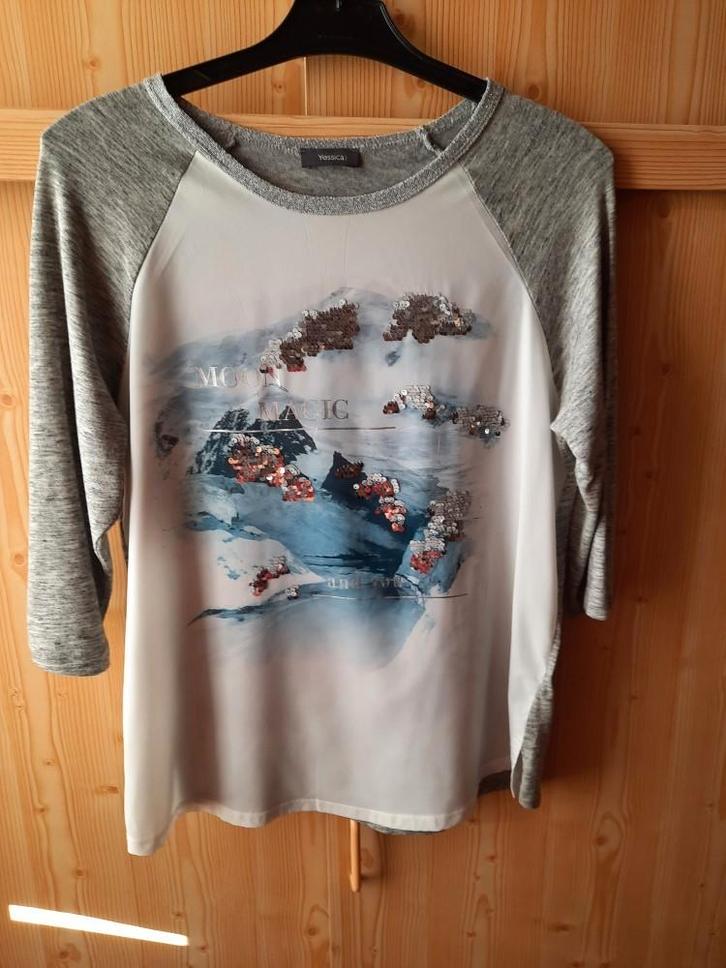 Blouse / truitje wit/grijs met glitter maat M, Kleding | Dames, Blouses en Tunieken, Zo goed als nieuw, Maat 38/40 (M), Wit, Ophalen of Verzenden