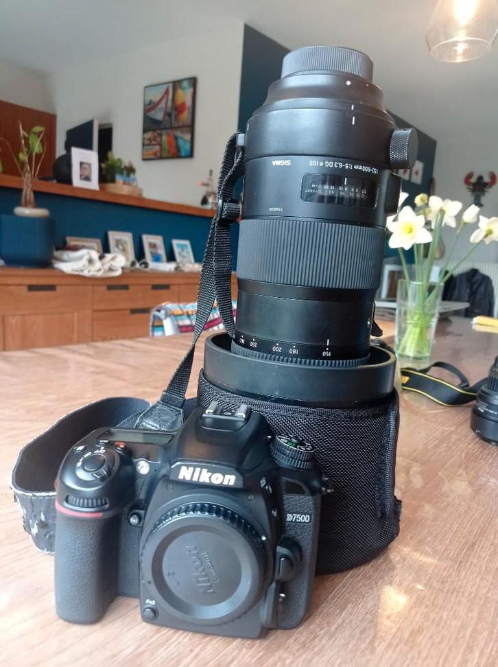 Verkoop D7500 + Sigma 150-600 mm, Audio, Tv en Foto, Fotocamera's Digitaal, Gebruikt, Spiegelreflex, Nikon, Ophalen