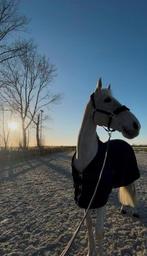Halve Stal Gezocht (Zuienkerke)., Dieren en Toebehoren, Ruin, Recreatiepaard