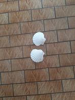 Grote schelpen, Ophalen