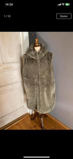 Bodywarmer, Kleding | Dames, Bodywarmers, Ophalen of Verzenden, Zo goed als nieuw, Maat 46/48 (XL) of groter