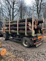 Bois de chauffage par camion complet, Tuin en Terras, Brandhout, Ophalen, Berkenhout