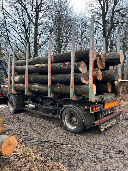 Beau bois de chauffage par camion complet, Tuin en Terras, Brandhout, Beukenhout, Ophalen