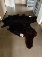 Koeievel te koop, Ophalen, Gebruikt