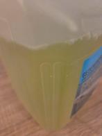 Phyto plankton, Dieren en Toebehoren