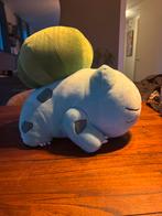 Pokemon knuffel, Kinderen en Baby's, Speelgoed | Knuffels en Pluche, Ophalen of Verzenden, Zo goed als nieuw