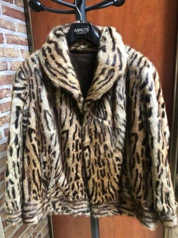 Korte Dames Bontjas Leopard beschikbaar voor biedingen