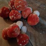 9 magnifiques champignons vintage en papier mâché, Antiquités & Art, Envoi