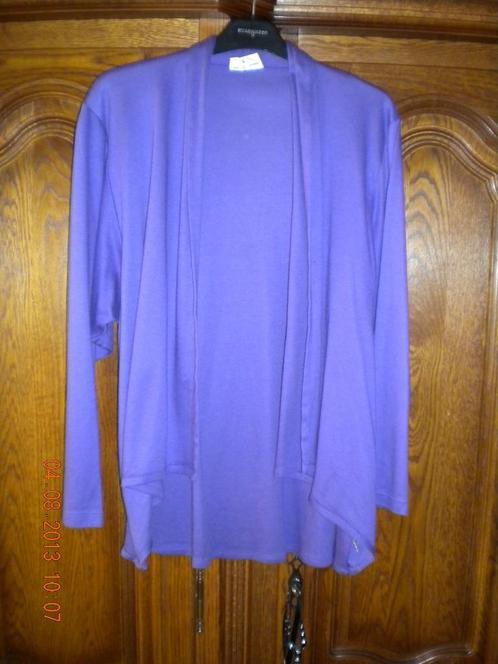 Vestje (lila), Kleding | Dames, Truien en Vesten, Maat 36 (S), Ophalen