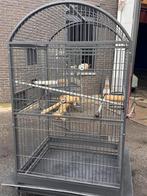 Kooie voor grote vogels, Dieren en Toebehoren, Ophalen, Zo goed als nieuw