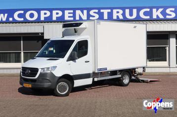 Mercedes-Benz Sprinter 516 CDI Koel/Vries + Dhollandia Klep  beschikbaar voor biedingen