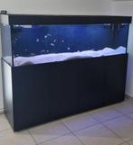 Tanganyka vissenbestand, Overige typen, Zoetwatervis