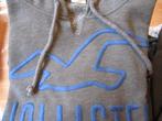 Hoodie Hollister maat S, Ophalen of Verzenden, Zo goed als nieuw, Grijs, Hollister