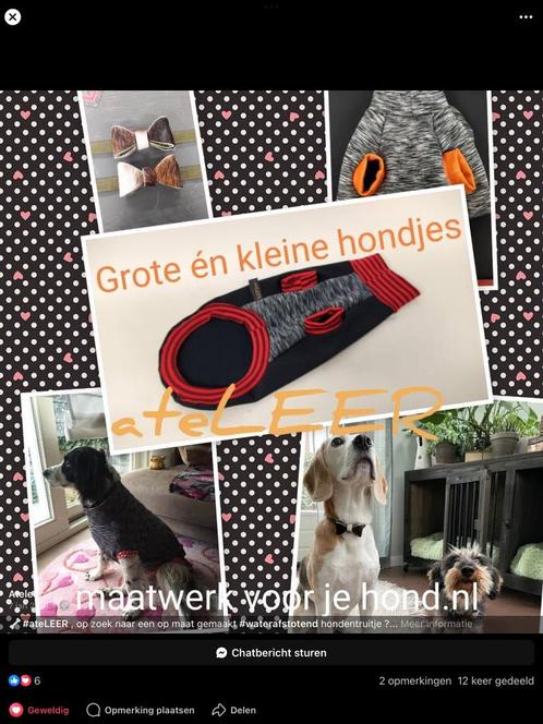 Jasje hond, Dieren en Toebehoren, Honden | Retrievers, Spaniëls en Waterhonden, Reu, Spaniël, Particulier, Eén hond, België, 6 jaar of ouder