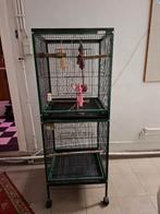 vogelkooi, Ophalen, Zo goed als nieuw, Metaal, Vogelkooi