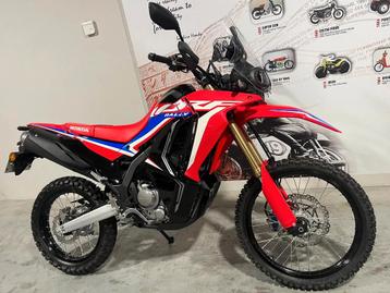 Honda CRF300 Rally (bj 2024) beschikbaar voor biedingen